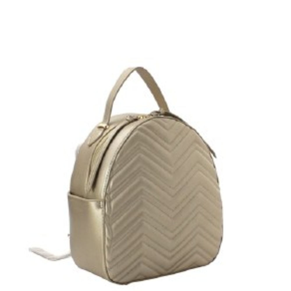 Fashion Metallic BackPack